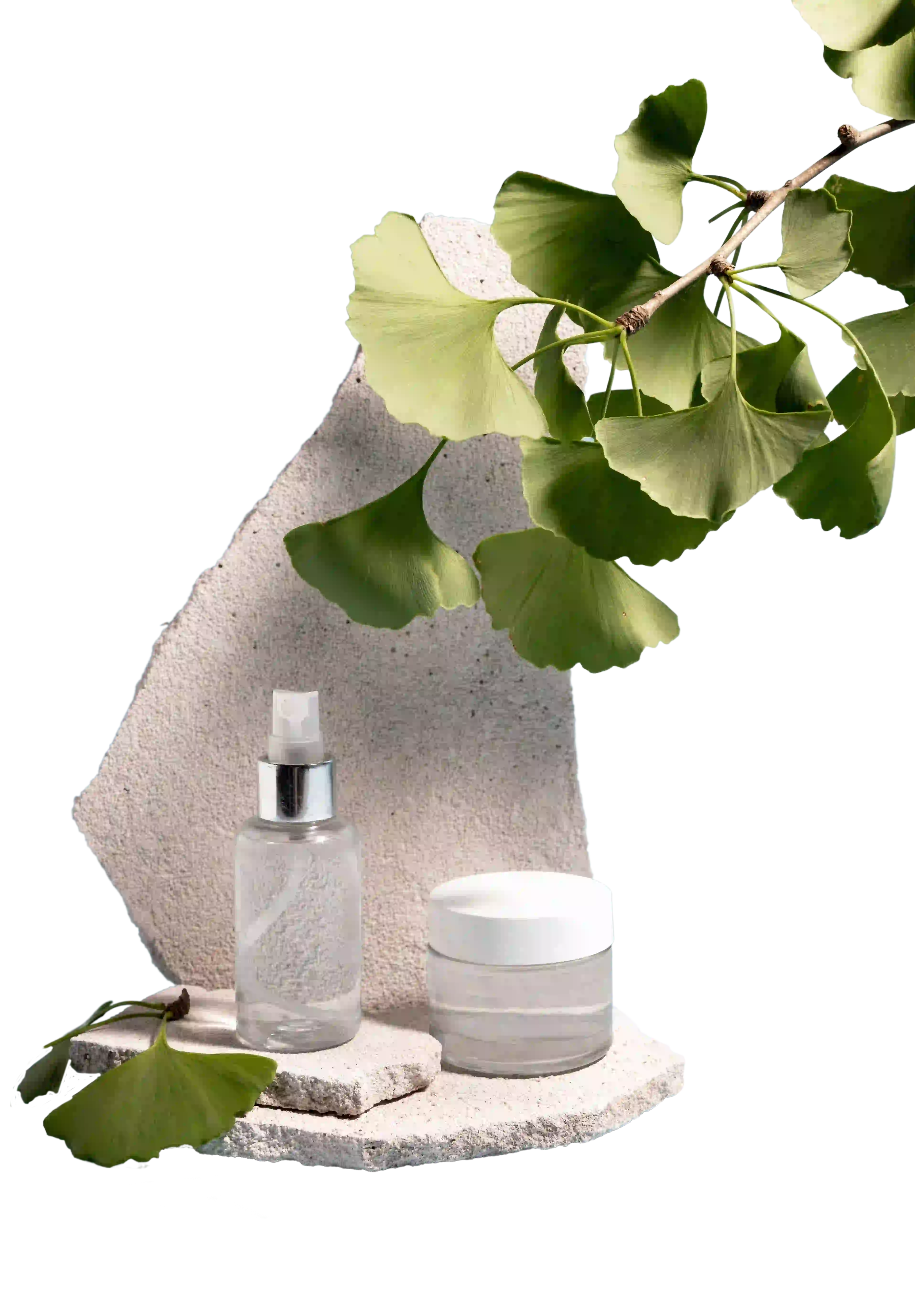 Product packaging showcase